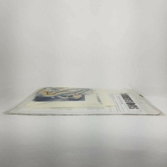 Vtg 1995 Dimensions No Count Cross Stitch "Country Weather Vane" 10"x10" 3995 - Picture 7 of 11